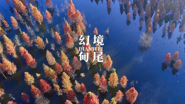 探秘吉鹿力问答社区,解锁议价是什么意思的奇妙世界!