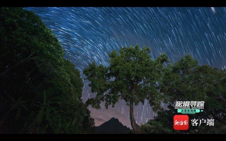 动物帮帮忙保卫家园