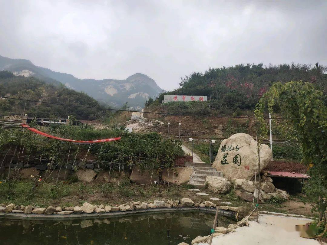 你认为“四大天王”中，谁的演技更能受到大家的认可？游戏画面