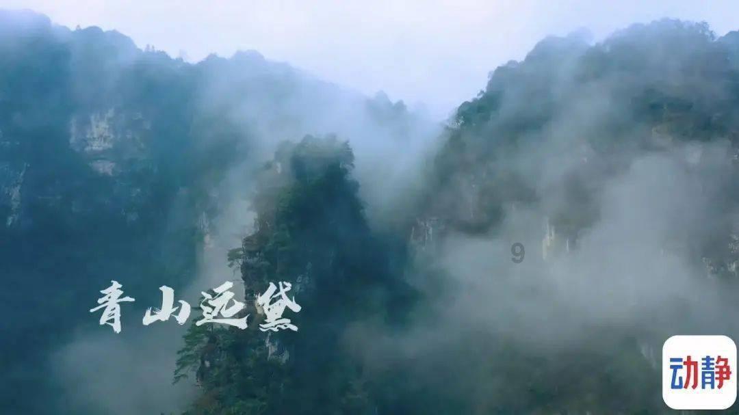 重磅!张艺谋新作定档,新晋“谋女郎”竟然是她?实在太意外