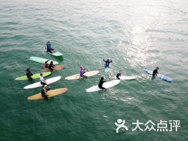 女人梦见到鲜花游戏画面
