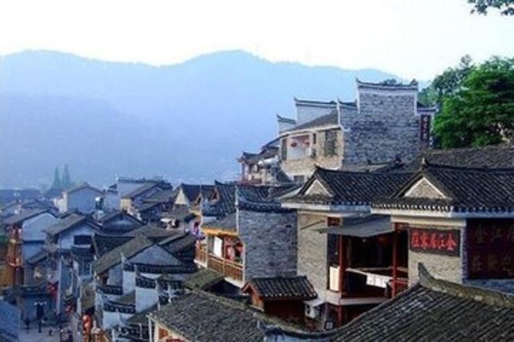 逃离椰子岛